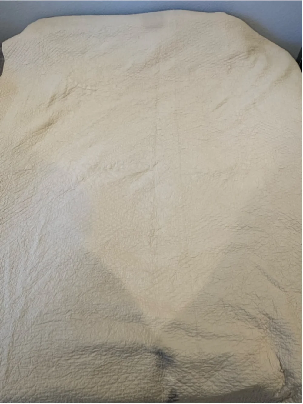 VTG 30’s-40’s Handmade Morning Glory Applique Quilt in Beige Multi 75x97”